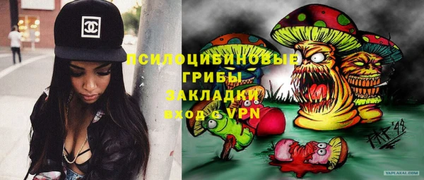 сатива Карталы