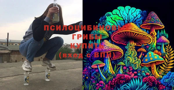 сатива Карталы